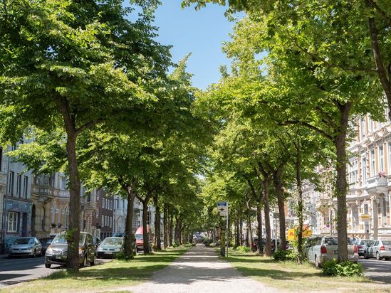 Lindemann, Chaineux, Müller