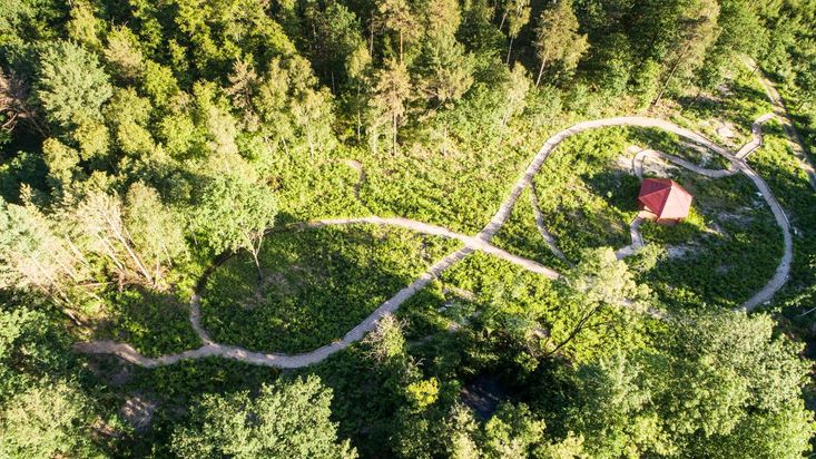 FriedWald Planitzwald