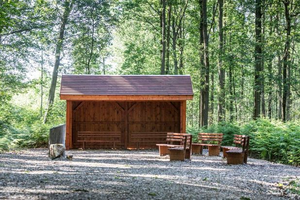 FriedWald Planitzwald