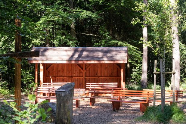 FriedWald Planitzwald