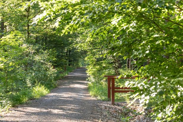 FriedWald Planitzwald