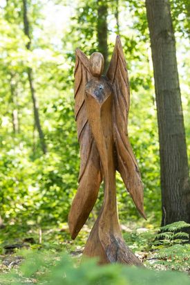 FriedWald Planitzwald