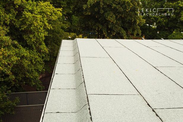 Lekic Flachdachbau