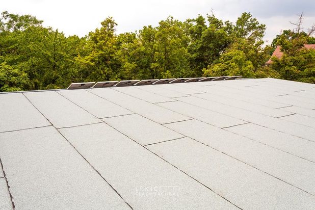 Lekic Flachdachbau