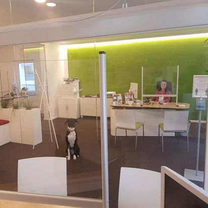 Sebastian Schieb - LVM Versicherung