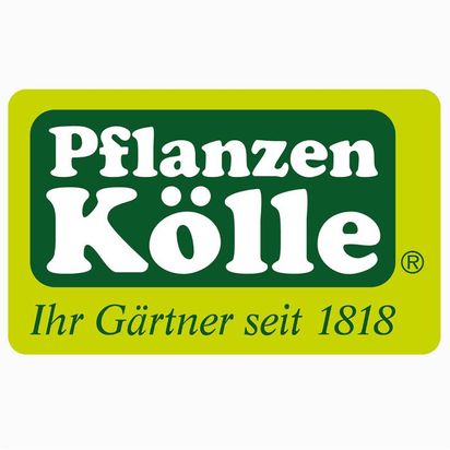 Pflanzen-Kölle