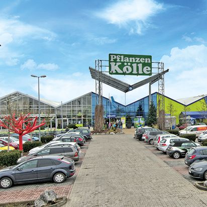 Pflanzen-Kölle