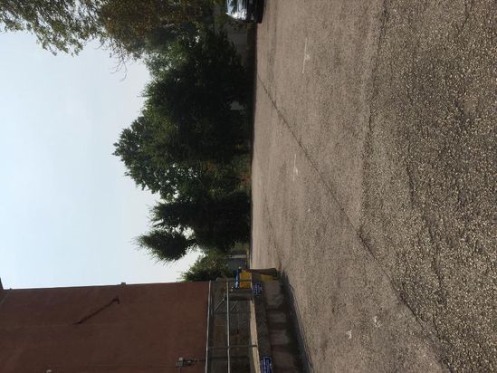 Computer and Copyshop Thoma