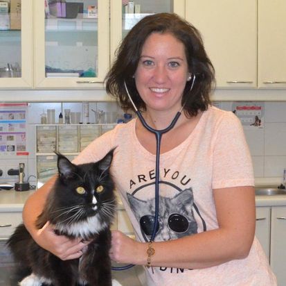 Tierarztpraxis Unterhaching Dr. Bader-Mende