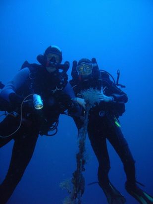 Triton Tauchsportstudio