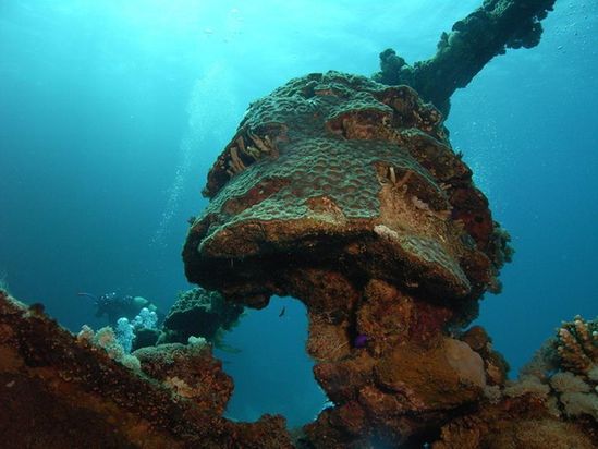 Triton Tauchsportstudio