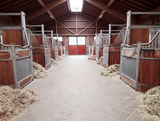 Gut Neuhaus Erstes Aachener Reitsportcenter