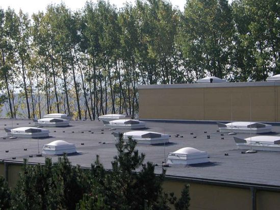 Maucke and Niegisch Dachdecker