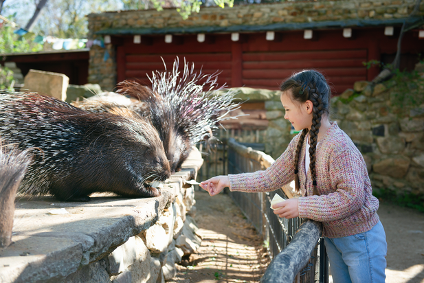 Naturschutz-Tierpark Görlitz
