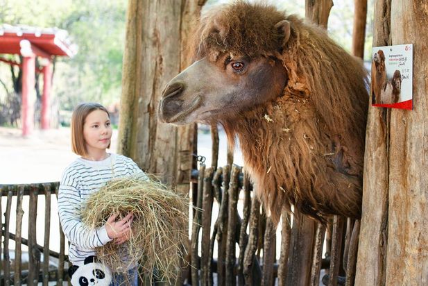 Naturschutz-Tierpark Görlitz