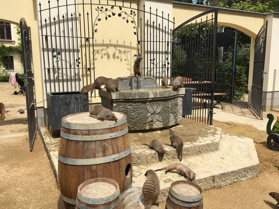 Naturschutz-Tierpark Görlitz