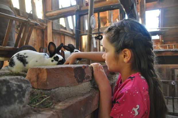 Naturschutz-Tierpark Görlitz