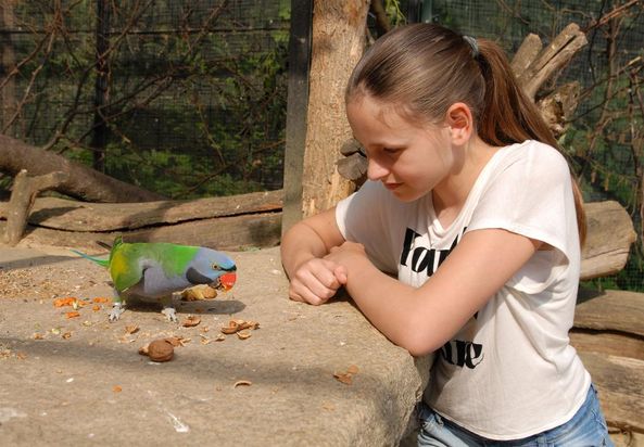 Naturschutz-Tierpark Görlitz