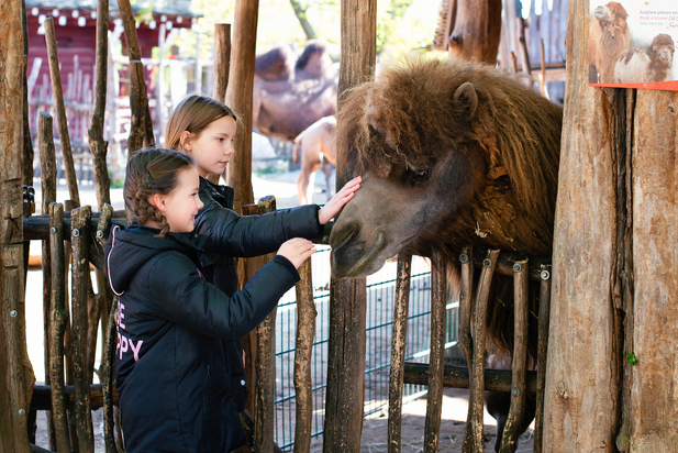 Naturschutz-Tierpark Görlitz