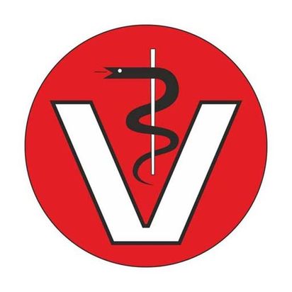 Praktische Tierärztin Marion Kolsch