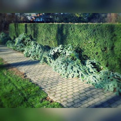 Andreas Steger, Forst- und Gartenservice