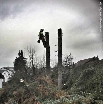 Andreas Steger, Forst- und Gartenservice