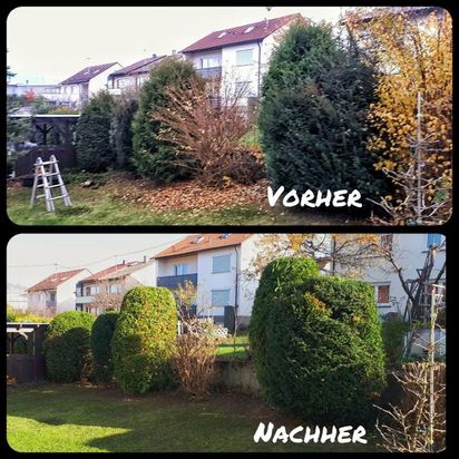 Andreas Steger, Forst- und Gartenservice