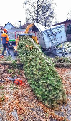 Andreas Steger, Forst- und Gartenservice