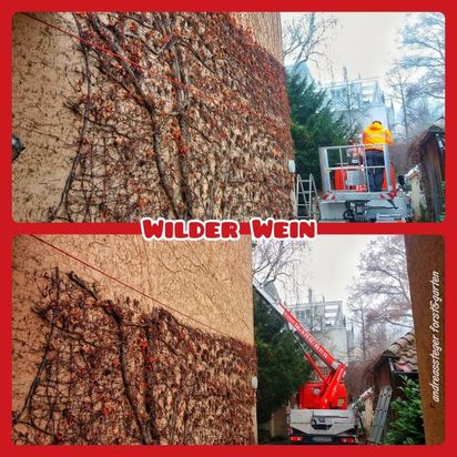 Andreas Steger, Forst- und Gartenservice