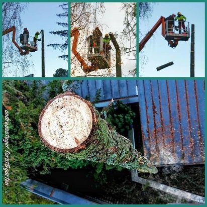 Andreas Steger, Forst- und Gartenservice