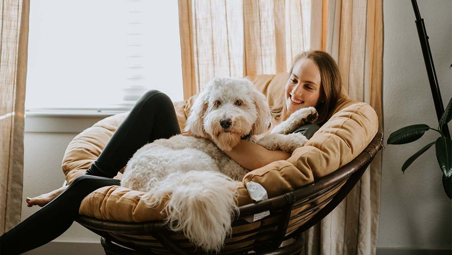 Ein junge Frau sitzt in einem Sessel und hat einen Hund auf dem Schoß.
