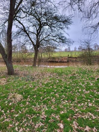 Blick zum Fluß