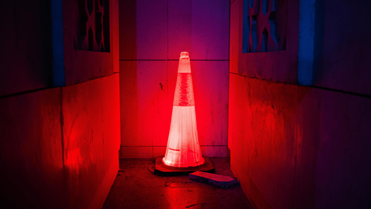 Afrikanische Schweinepest im Landkreis Groß-Gerau - Landkreis Groß-Gerau