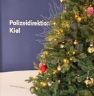 Quelle: Polizeidirektion Kiel