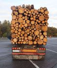 Heckansicht Holztransporter