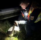 Bundespolizisten retten verletzten Schwan
Foto Bundespolizei