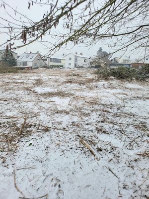 Gewerbegrundstück in Butzbach zu vermieten knapp 5500qm² - ideal zur Pflege und Nutzung