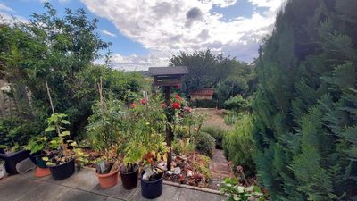 Charmantes Reihenhaus mit schönem Ausblick und Garten