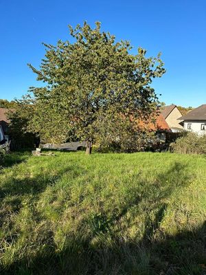 Grundstück in Rosenthal