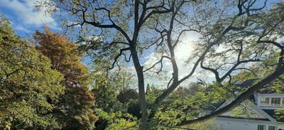 Exklusive private Vermietung in Köln-Marienburg mit Dachterrasse