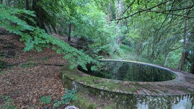 Ehemaliges Freizeitgrundstück idyllisch am Oschenberg gelegen!