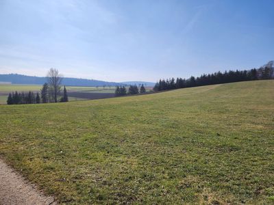 Historisches Ensemble in idyllischer Ortsrandlage mit viel Platz für kreative Ideen