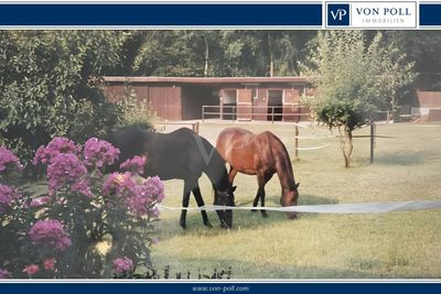 Ein Traum für Pferdehalter