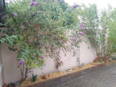 saniert schönes Haus Luckenwalde Garten EBK Kamin Potsdam BERLIN