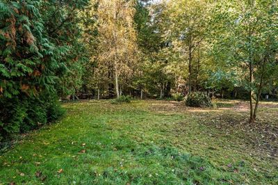 Idyllisches Baugrundstück mit Baumbestand unweit der Dahme