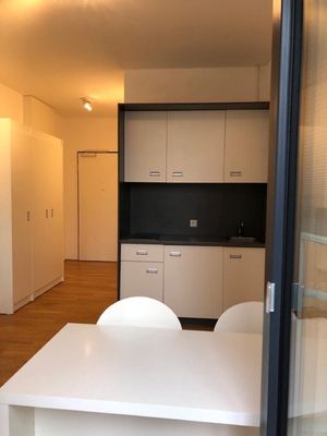 1 Zimmer Wohnung , 1 Zimmer Appartment , Untervermietung