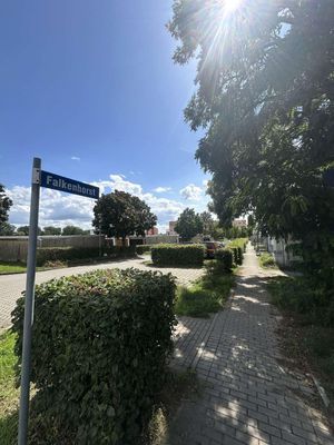 ++ Frisch Sanierte 2-Raumwohnung im blauen Wunder++