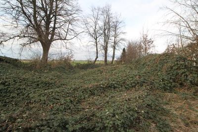 Baugrundstück in Feldrandlage