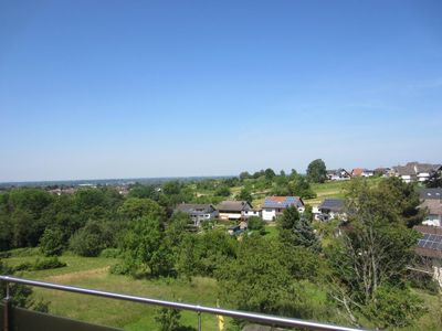 Rebland mit Rheintalblick