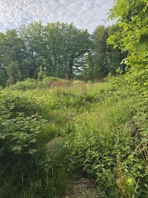 Traum Grundstück in Burg Dithmarschen zu verkaufen